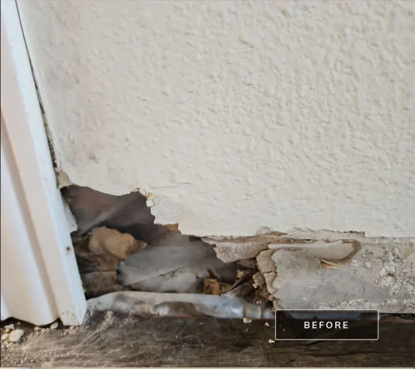 Before: water damage and baseboard repair